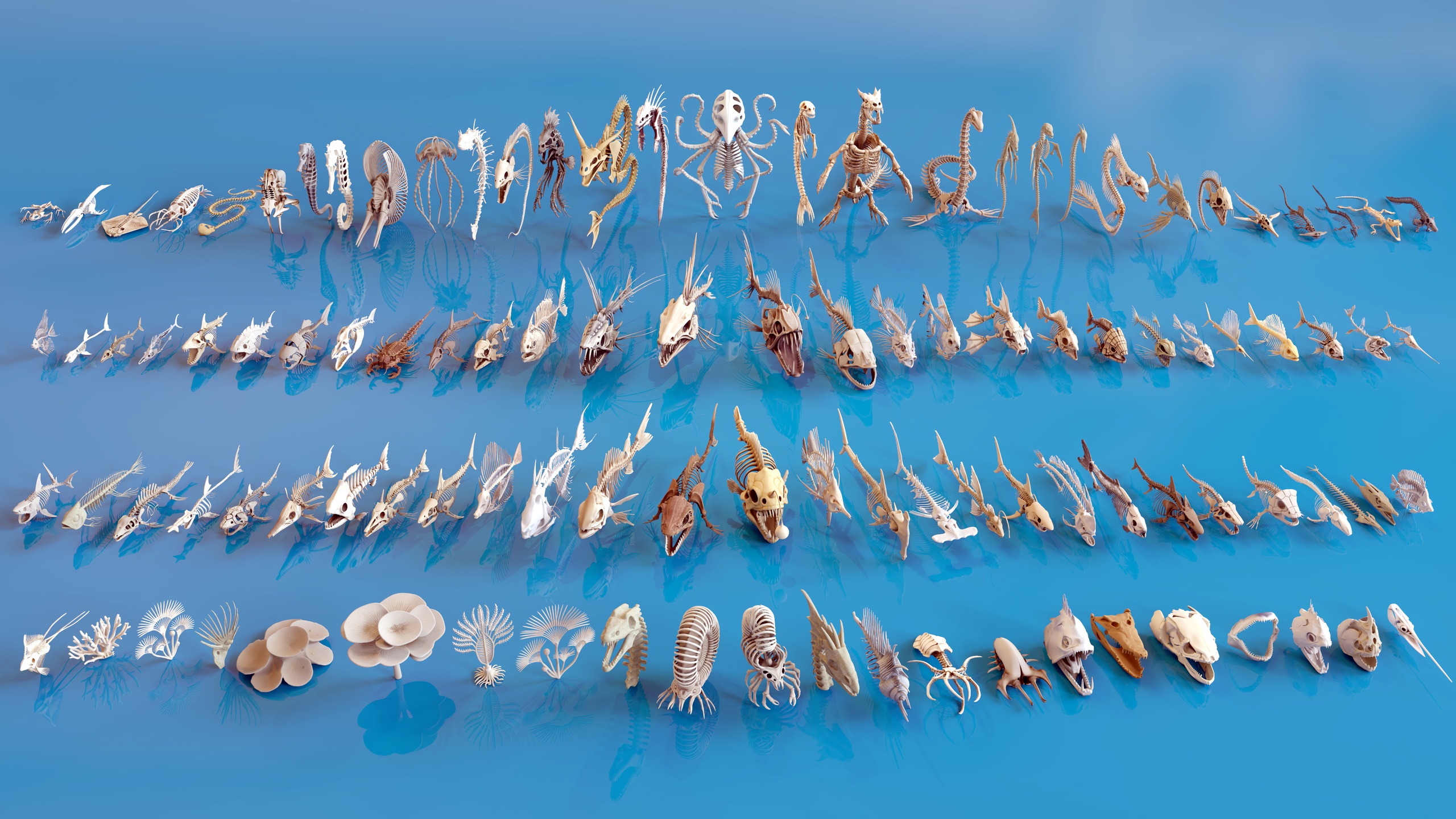 Media 1 for listing Fish and Underwater Creatures Skeleton Collection – Marine Bone 3D Asset Pack