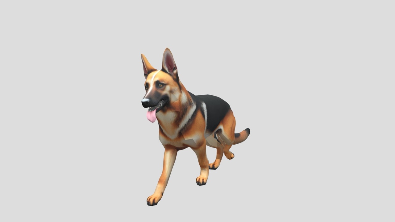 Media 1 for listing Dog Shepard