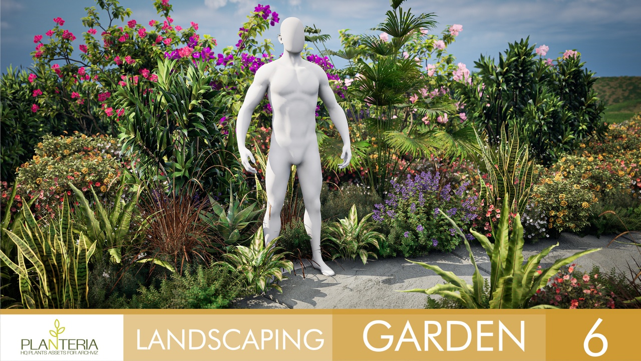 Media 1 for listing Landscaping Garden 6