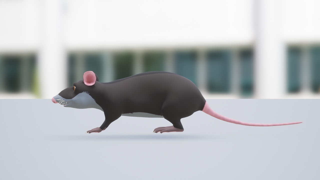 Media 1 for listing Cartoon Rat