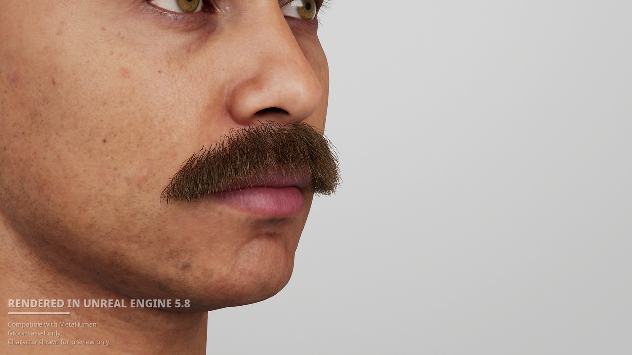 Media 1 for listing Classic Chevron Mustache - MetaHuman Groom