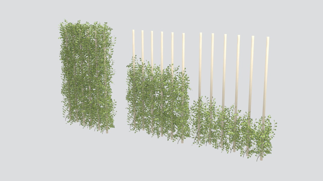 Media 1 for listing Climbing Ivy Vine Trellis with Green Foliage Growth Stages 3D Model