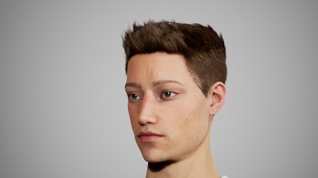 Media 1 for listing MetaHair 224- Groom hair for Metahumans - With lowpoly version in additional