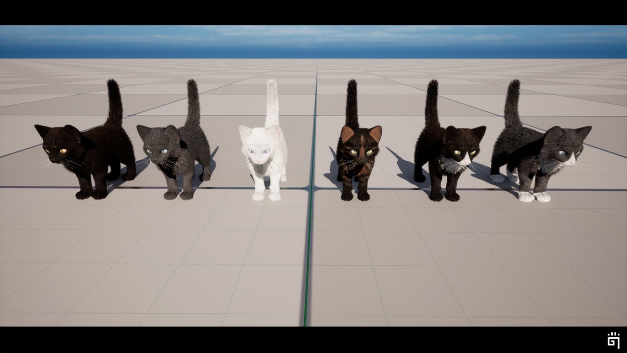 Media 1 for listing Next Gen Kitten / Kittens