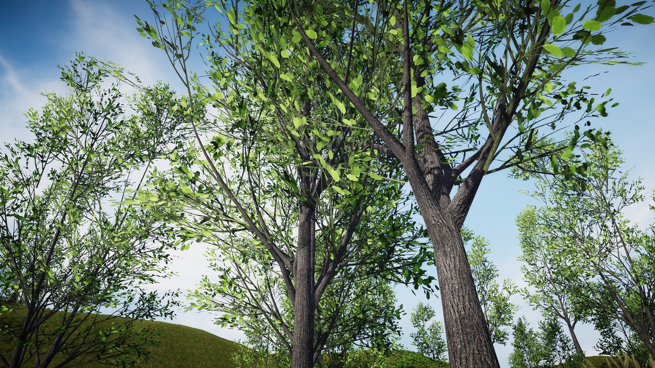 Media 1 for listing Mega Trees Bundle 2 (Mobile)