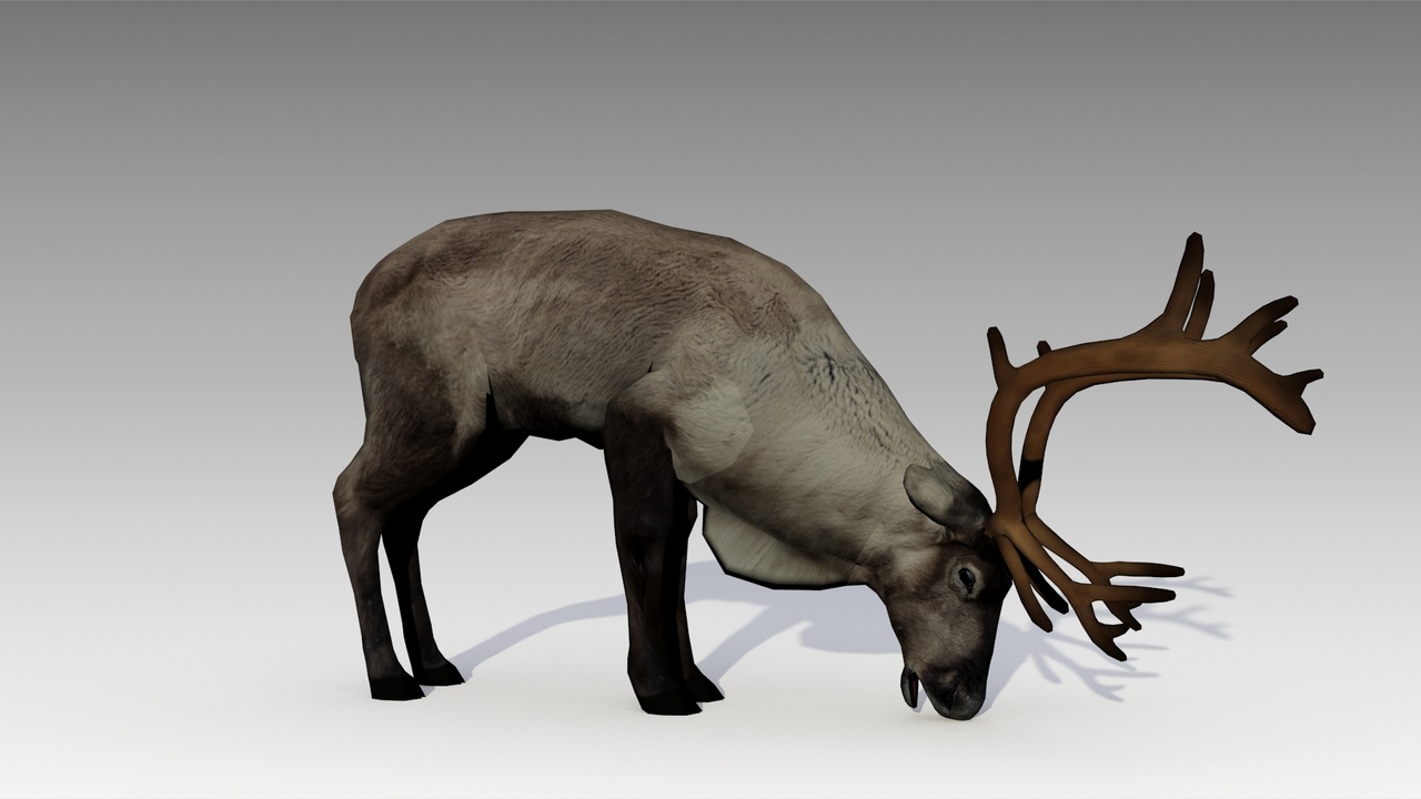 Reindeer Animated ์ ํ ๋ฑ๋ก์ ์ํ ๋ฏธ๋์ด 1๊ฐ