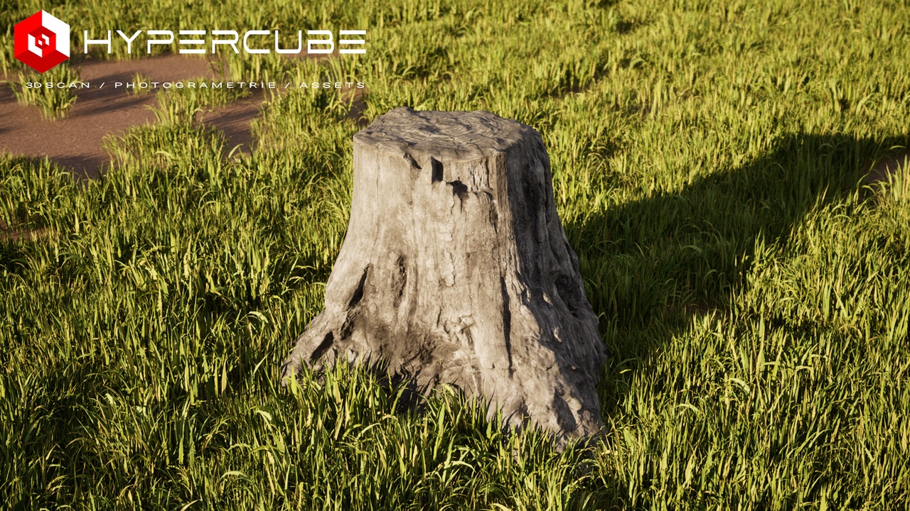 Hypercube Tree stump | Fab