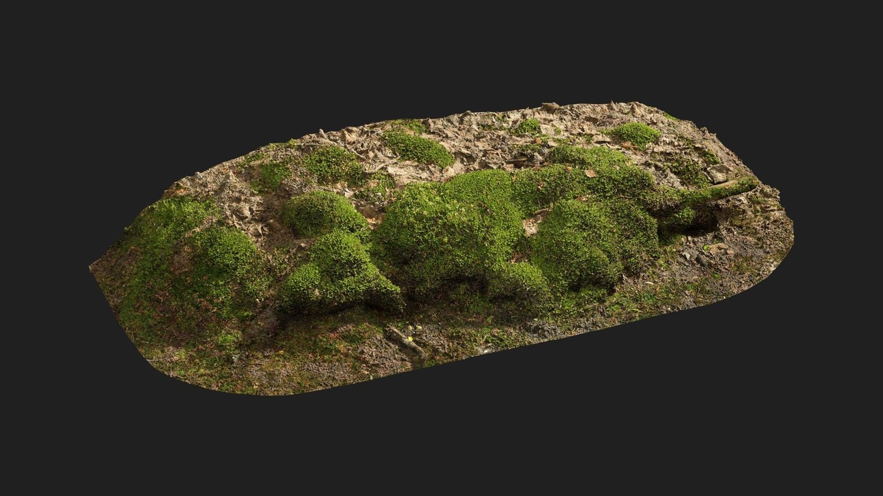 Media 1 for listing Nordic Forest Ledge Moss Small 02