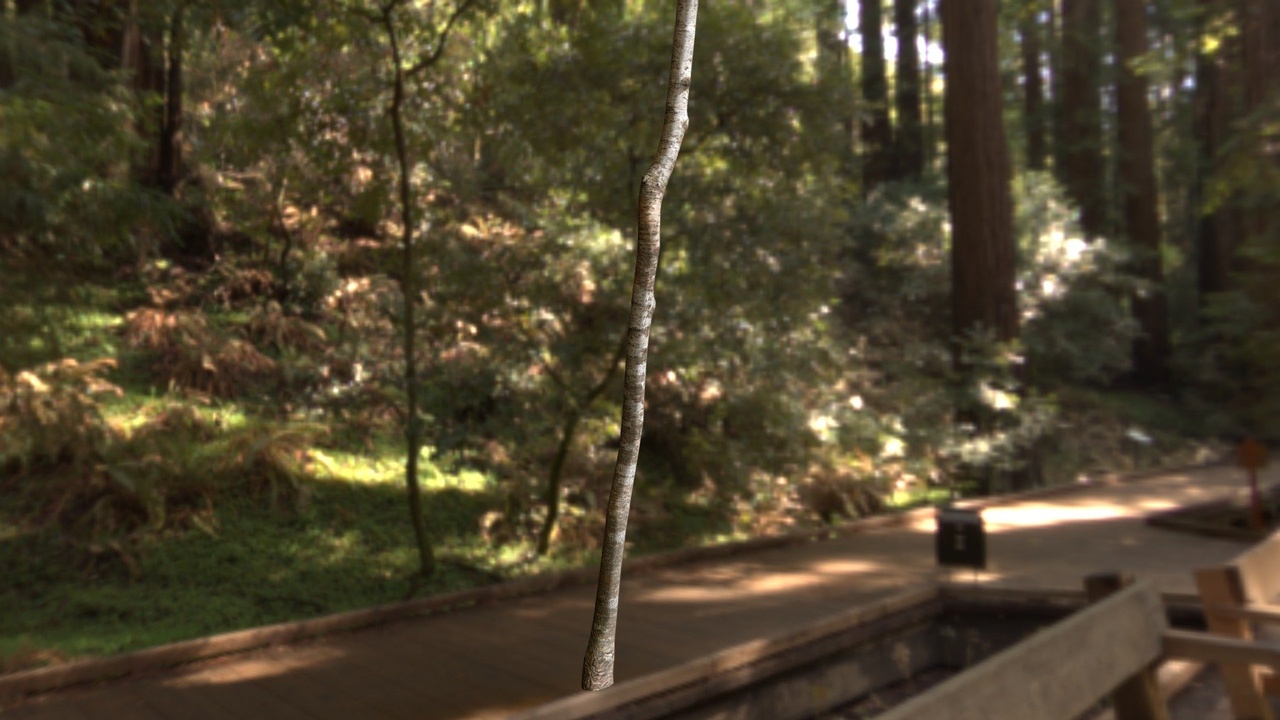 Media 1 for listing Photogrametry pine trunk