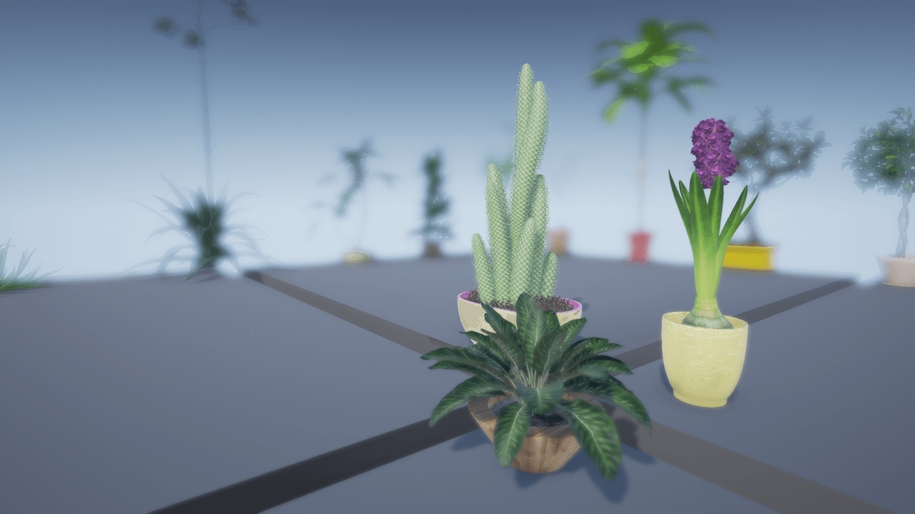 Media 1 for listing Flowers and Plants Package 01
