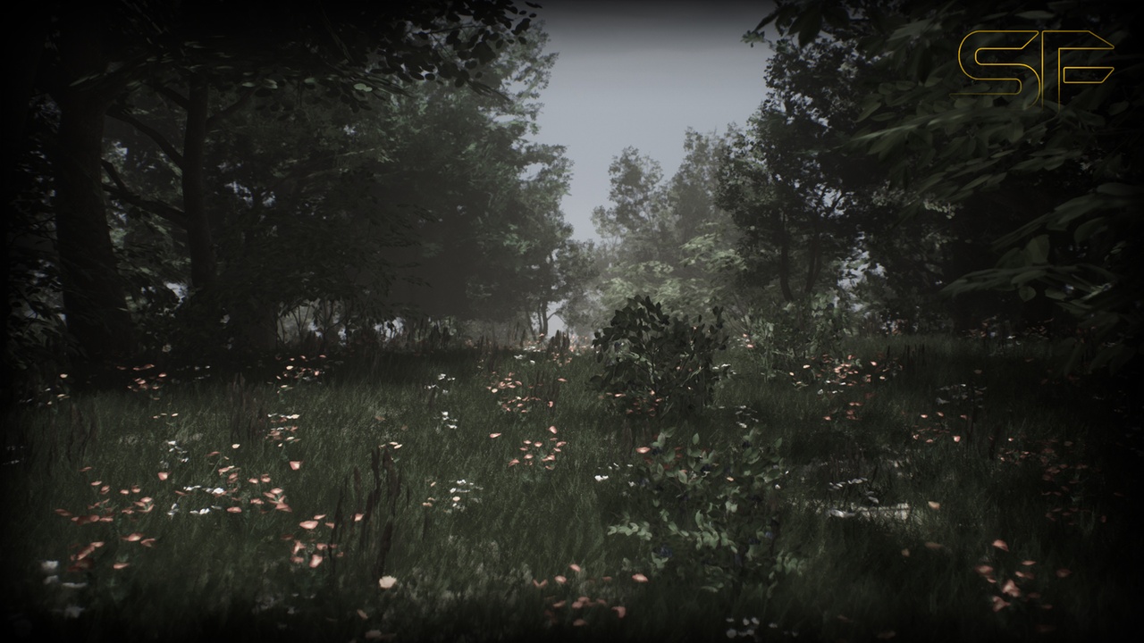 Media 1 for listing Nature Pack [SoftField]