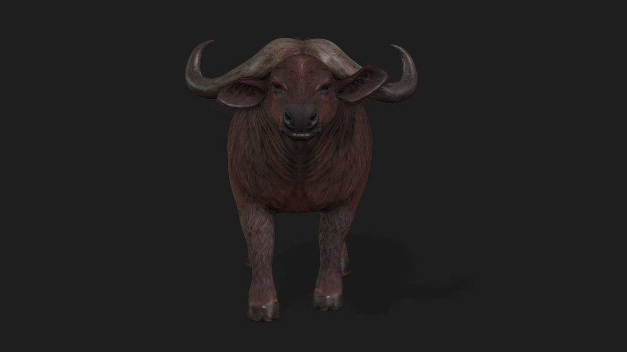 الوسائط 1 للقائمة Buffalo_A1