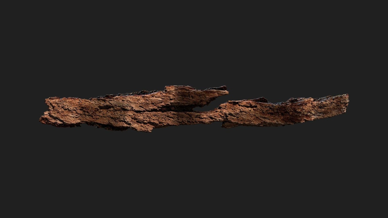 Tree Bark | Fab