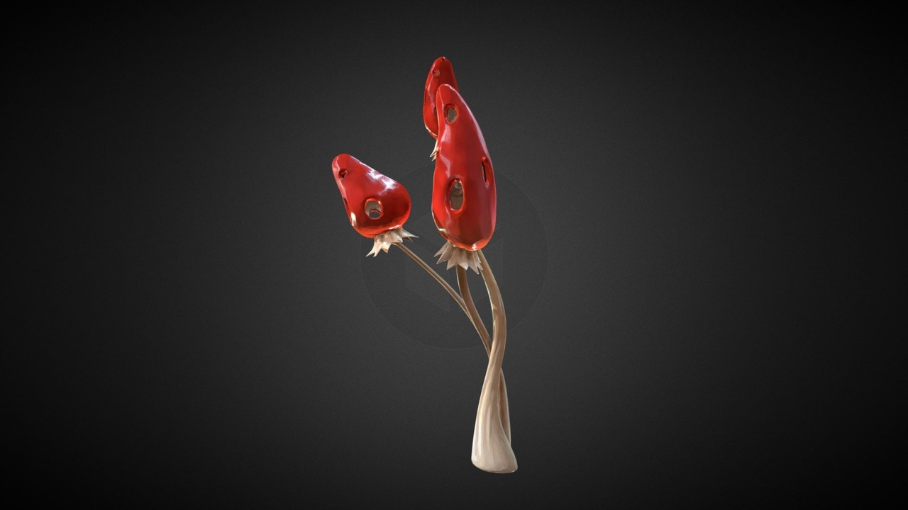 Media 1 for listing Fantasy Mushroom Vol.1