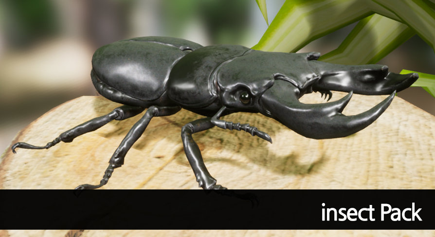 Insect Pack | Fab