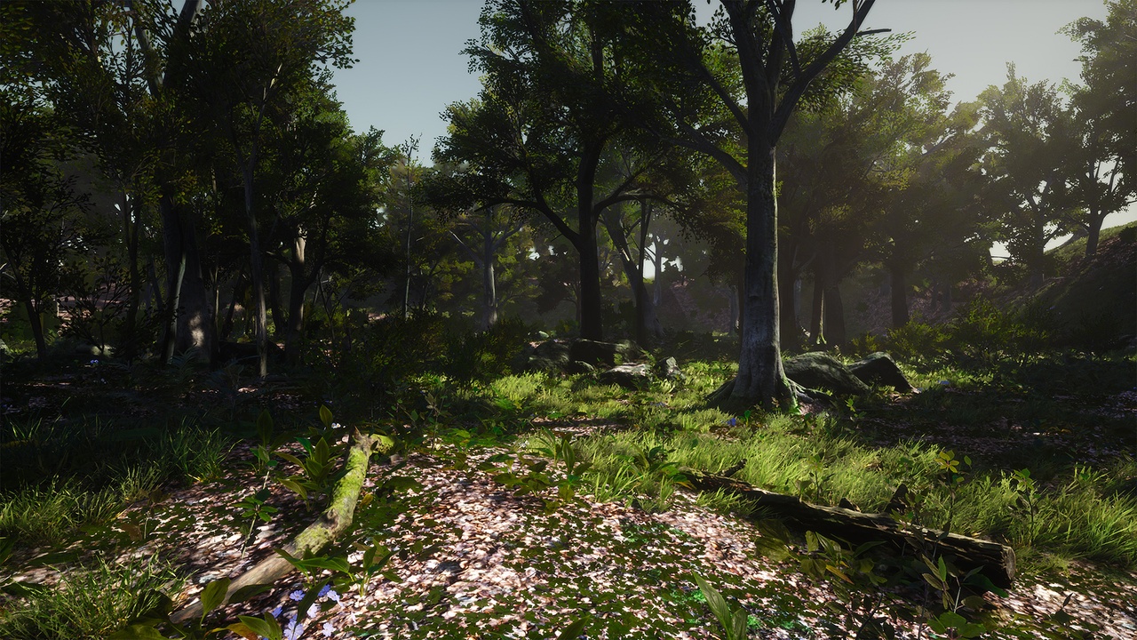Media 1 for listing 3D-Scanned, Photo-Realistic Forest Landscape Asset Pack Vol. 1
