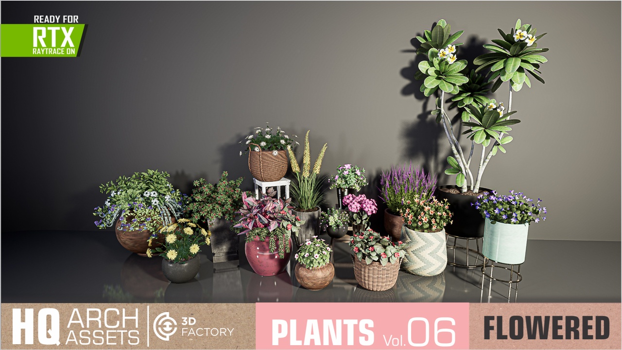 Media 1 for listing HQ Plants Vol. 6 ( Flowered Plants )