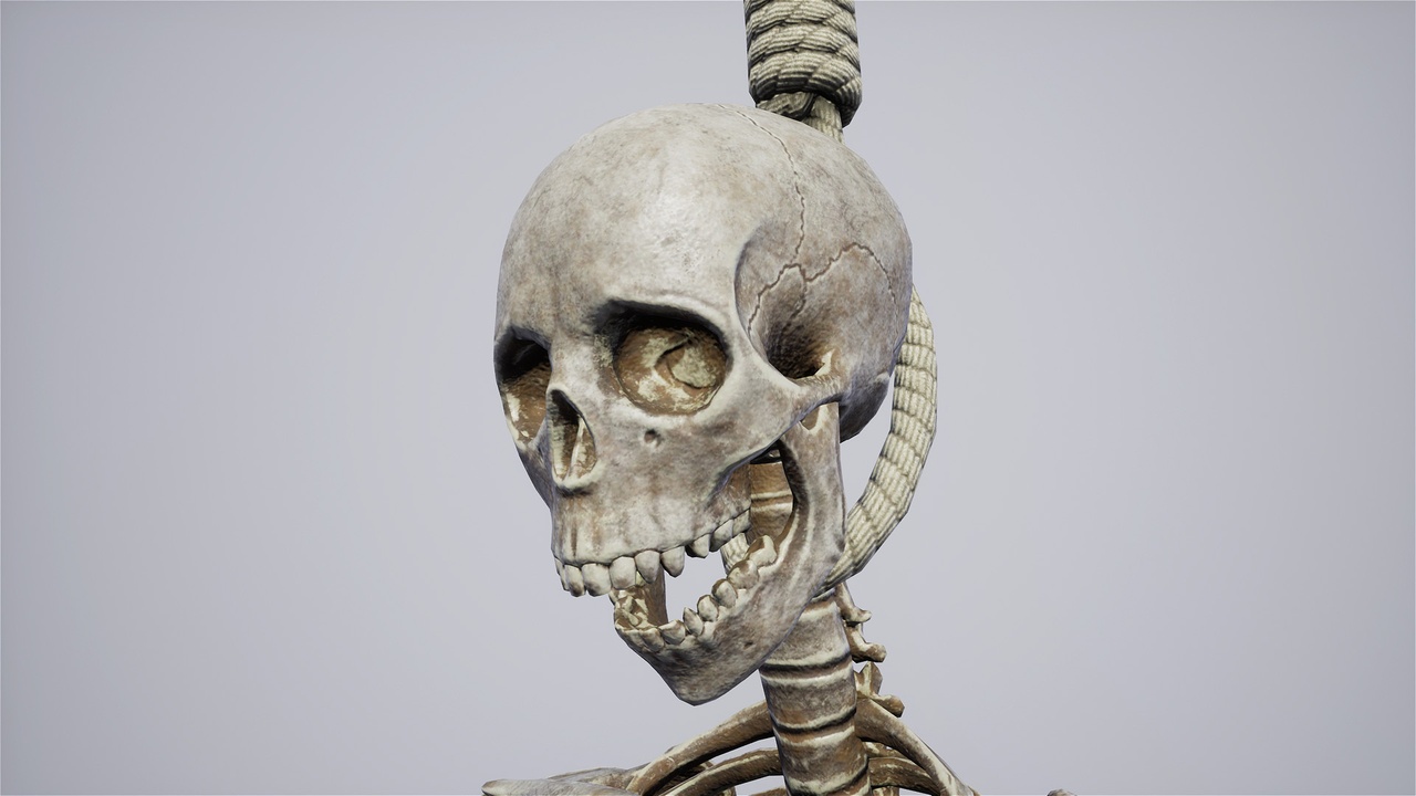 Media 1 for listing Skeleton Objects – Physical & Cloth Simulated Skeletons asset pack