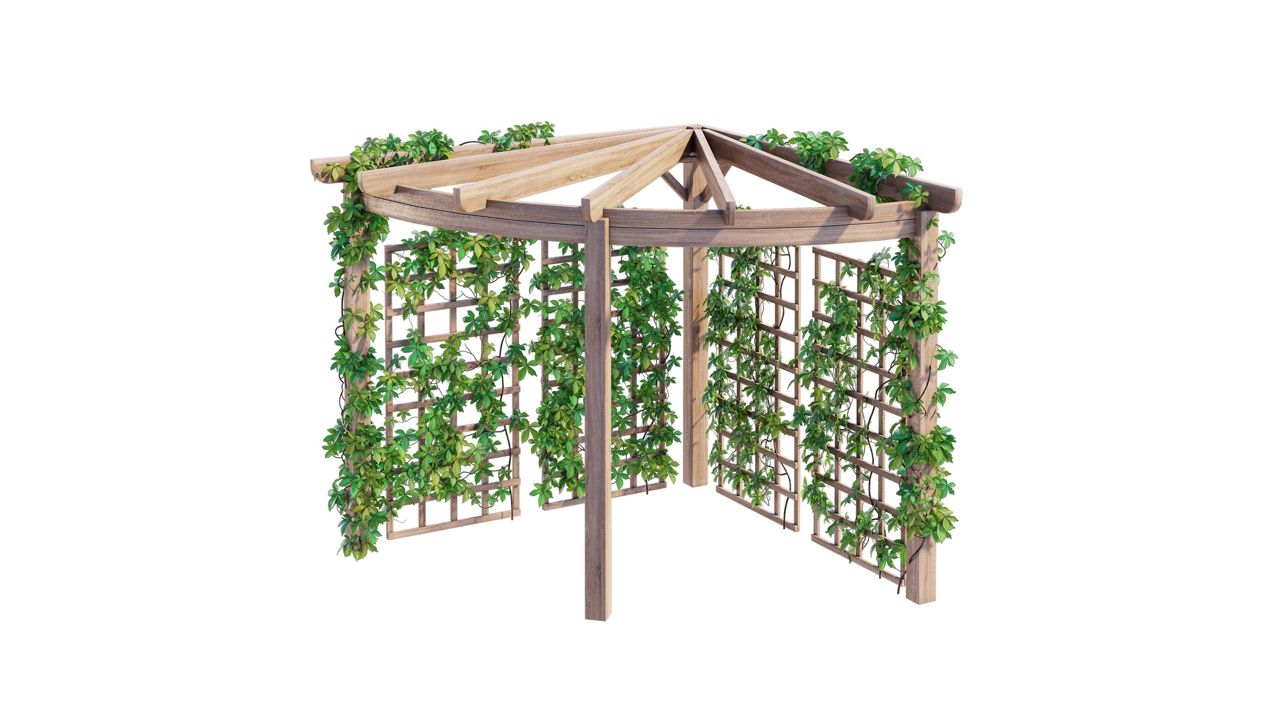 Media 1 for listing Radial Pergola