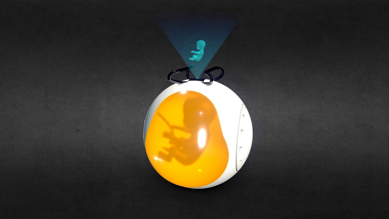 Media 1 for listing Pregnanc'EZ Incubator