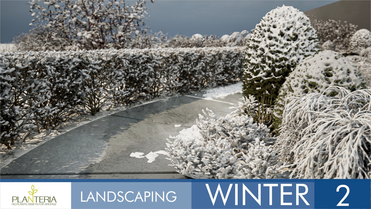 Media 1 for listing Landscaping Winter 2
