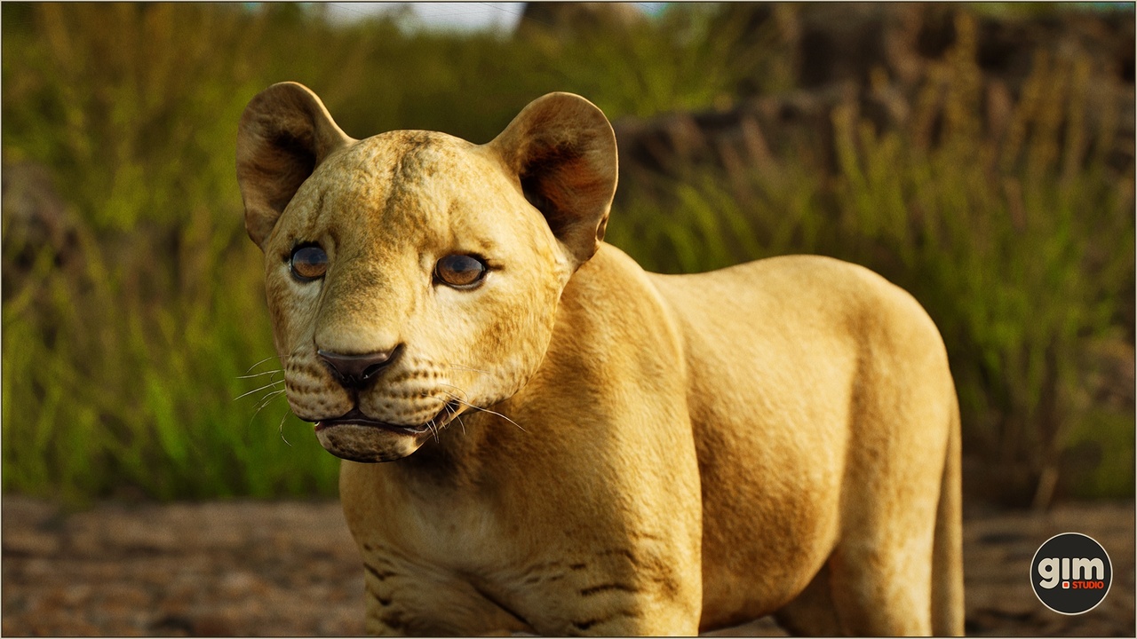 Media 1 for listing Animalia - Lion (young)