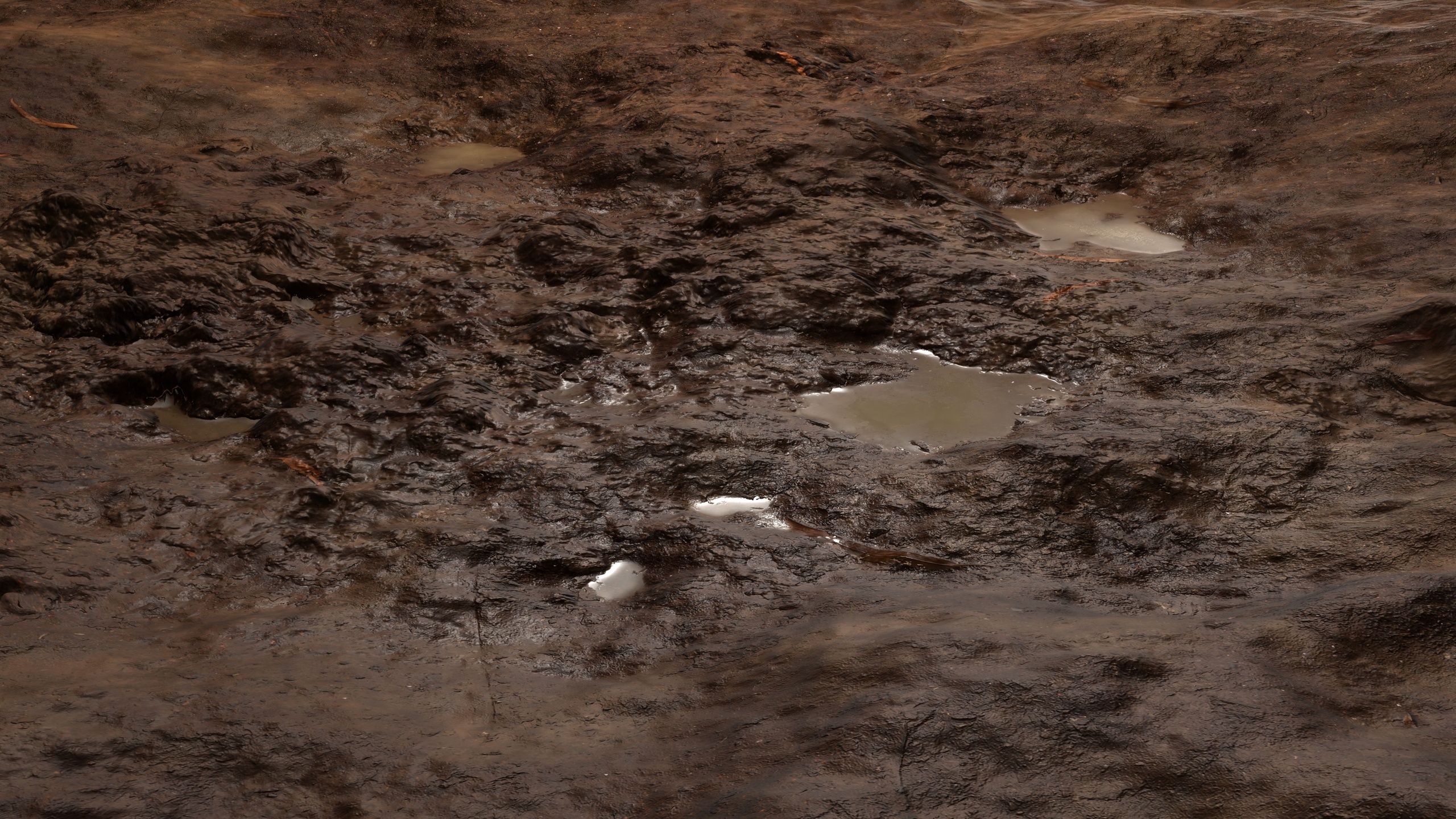 Media 1 for listing Mud 8K PBR Texture