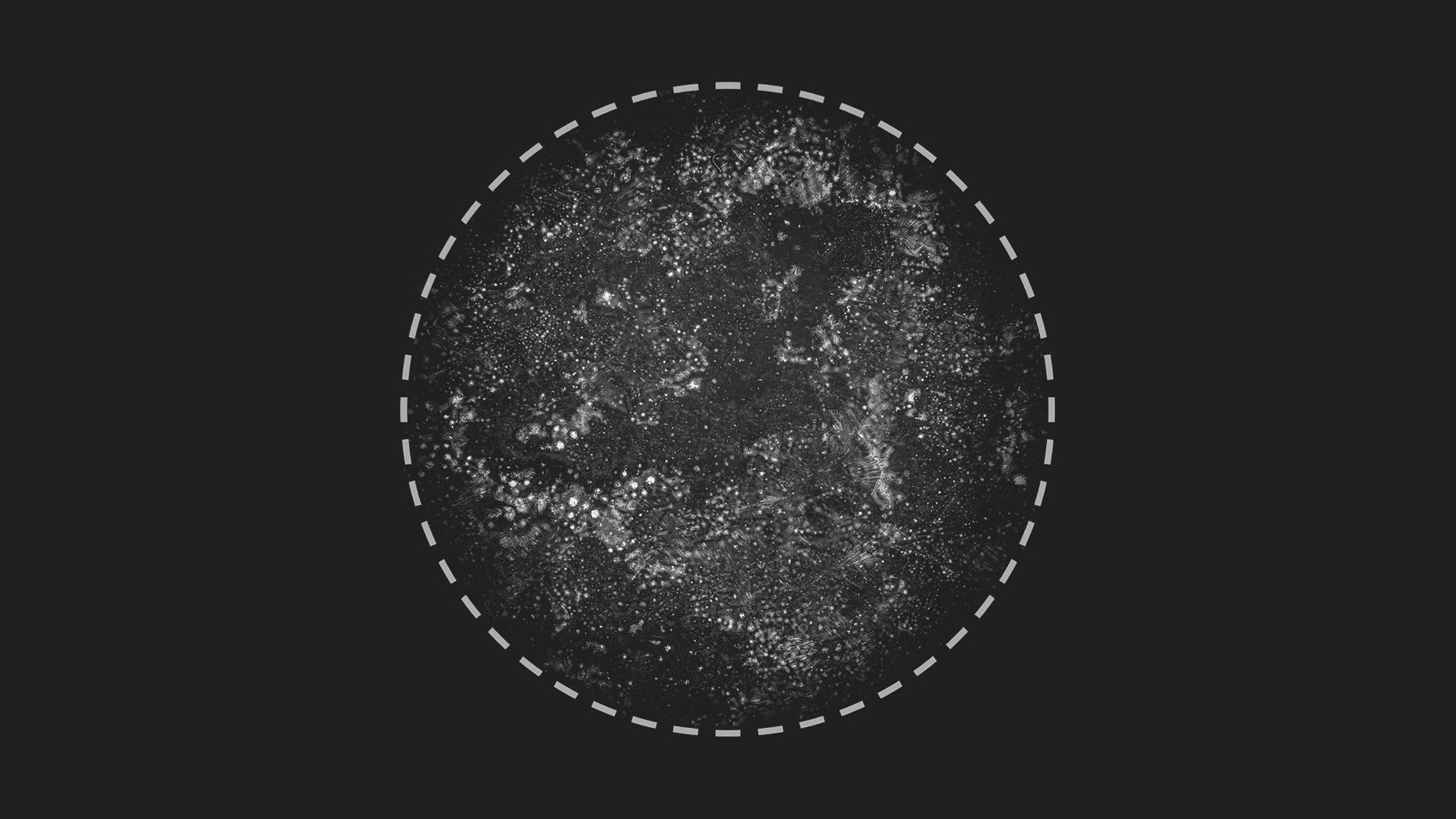 Media 1 for listing Grunge
