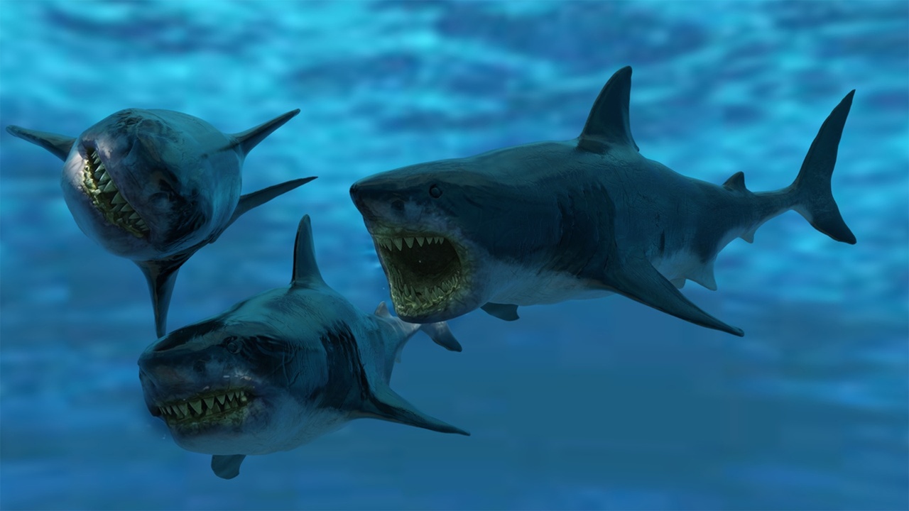 Media 1 for listing Great White Shark Model and 7 Animations