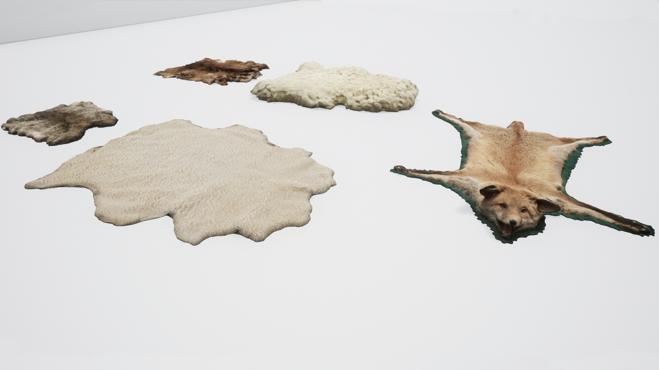 Media 1 for listing Animal Skin Models Pack (Fox, Sheep, Goat, Rabbit)