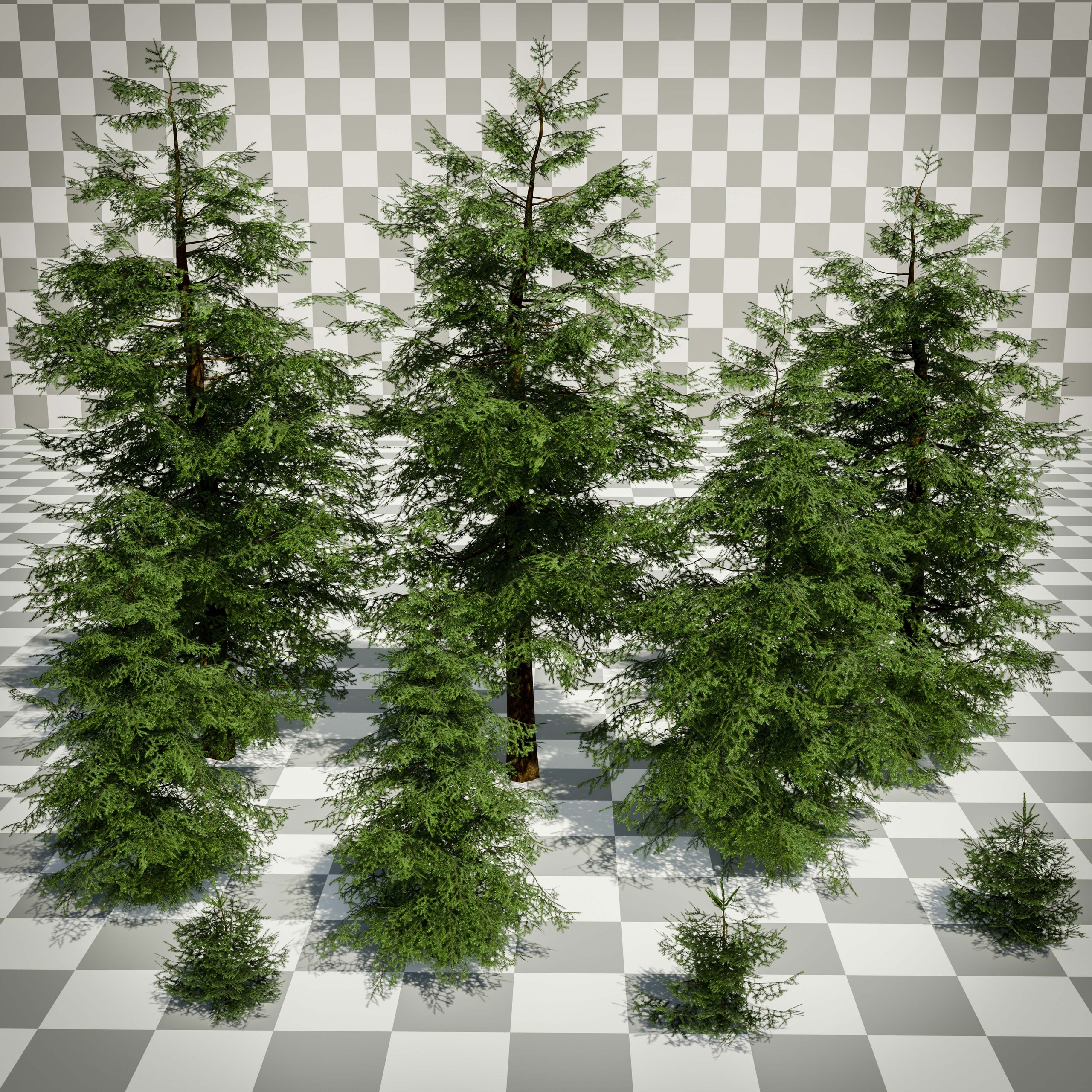 Media 1 for listing Fir trees pack (9 models+LODS and billboards)