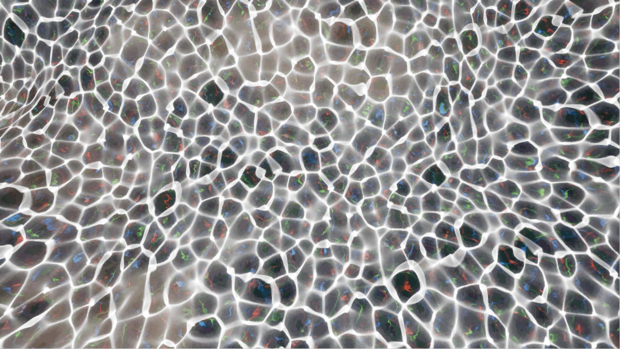 Media 1 for listing Underwater Caustic Materials