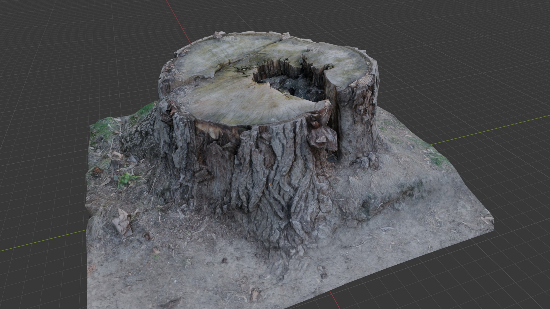 Tree stump | Fab