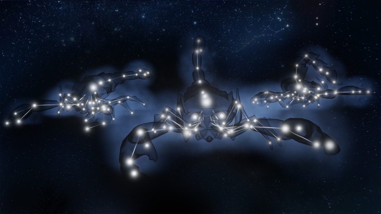 Media 1 for listing Star scorpion