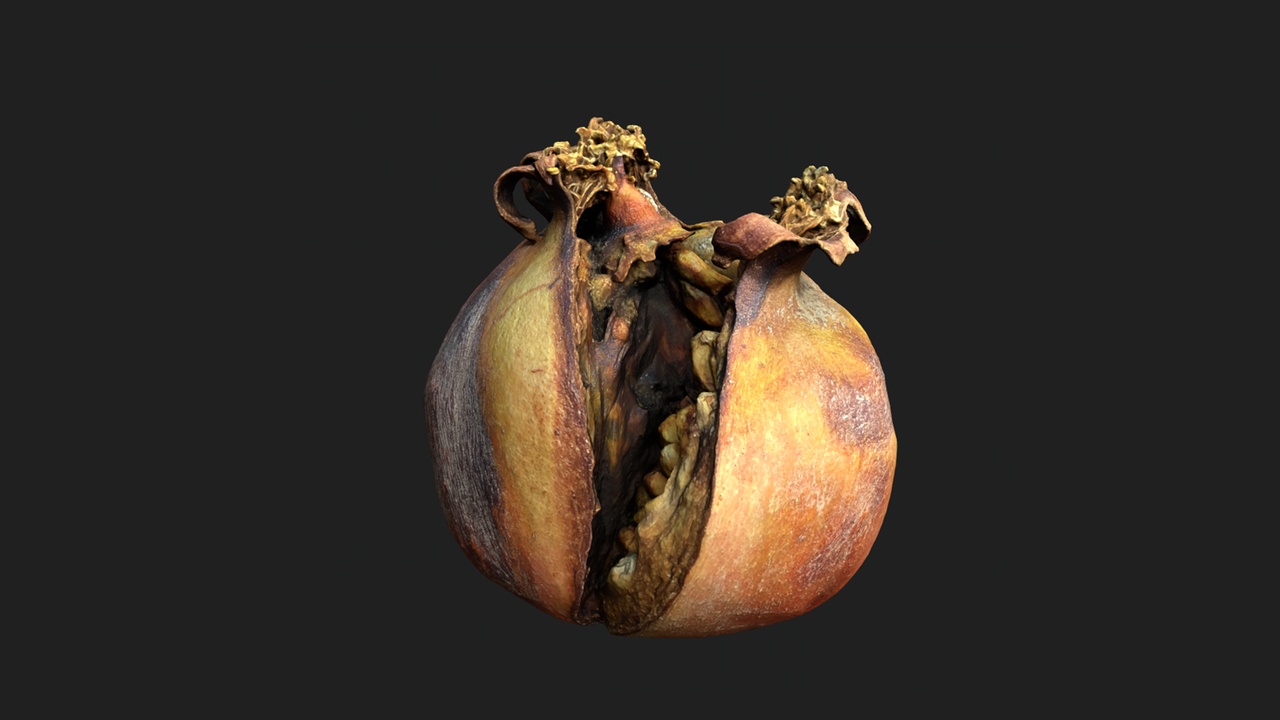 Media 1 for listing Pomegranate Decay Pack