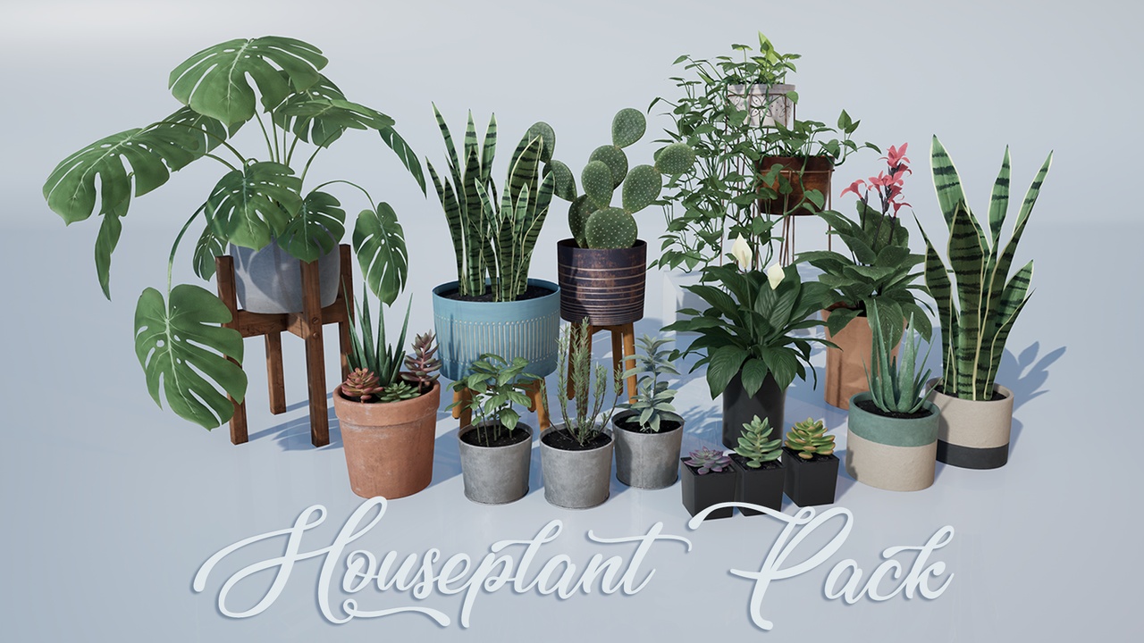 Media 1 for listing Houseplant Pack - Interior and Exterior Plants