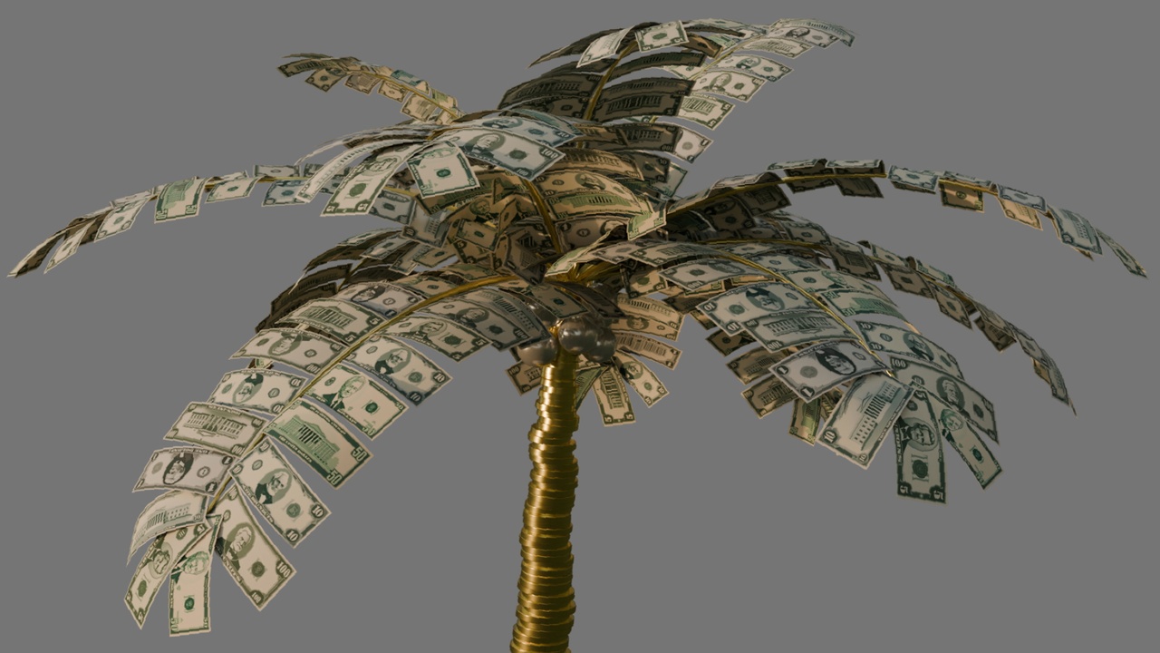 Media 1 for listing Money palm