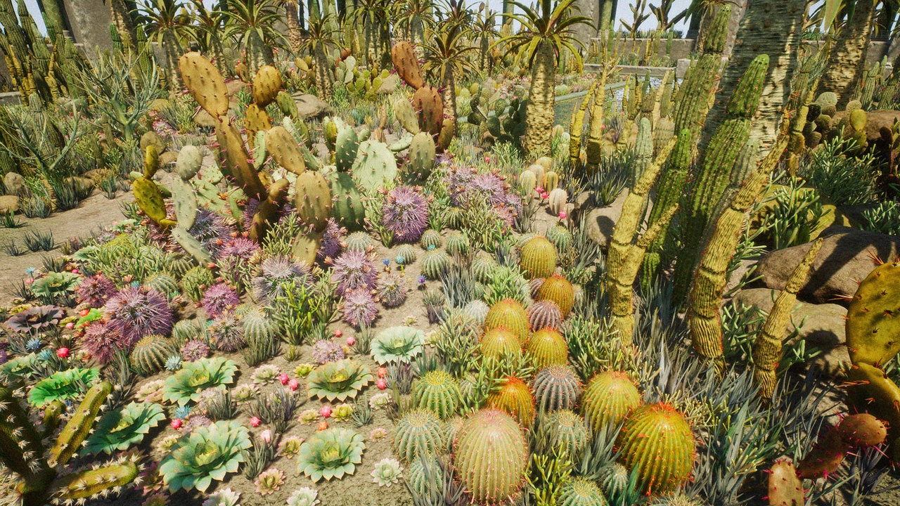 Media 1 for listing Cactus Plants: Desert Garden