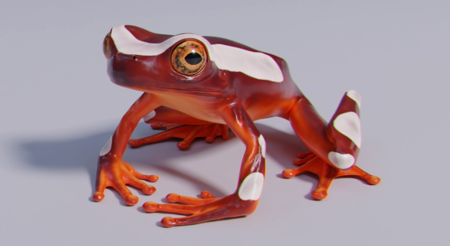 Clown Tree Frog | Fab