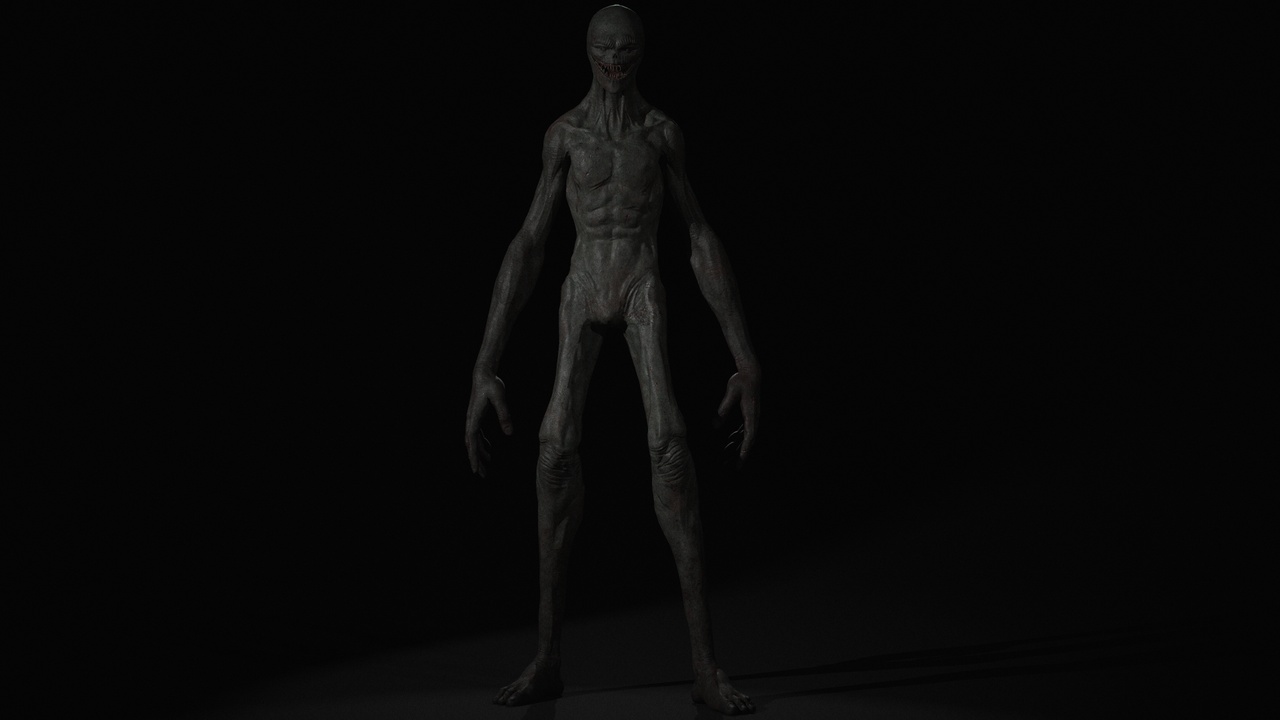 Media 1 for listing Wandering Nightmare