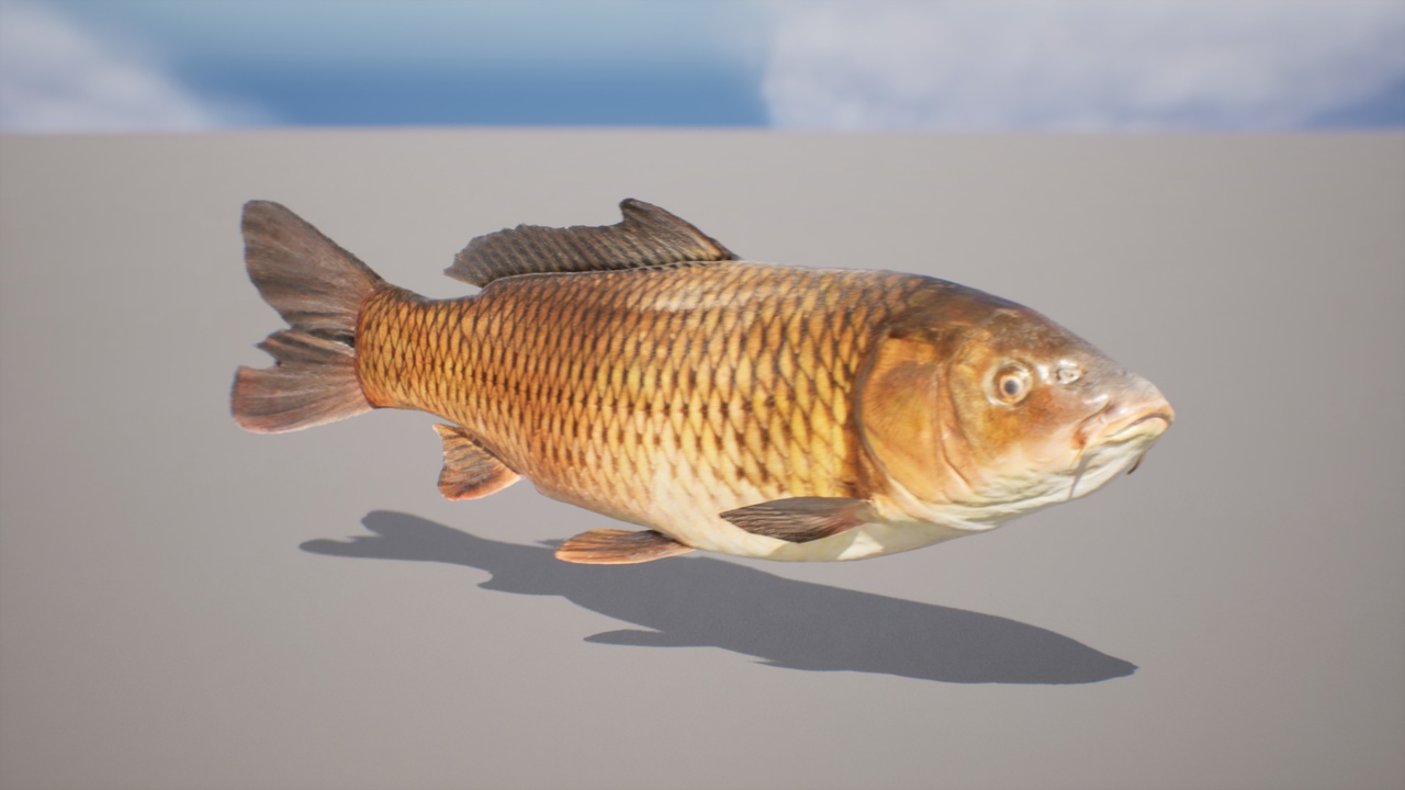 Media 1 for listing Japanese River Fish Pack
