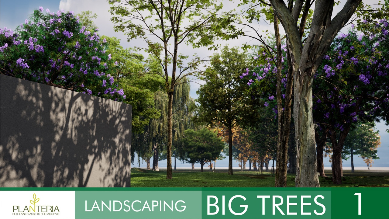 Media 1 for listing Landscaping Big Trees 1