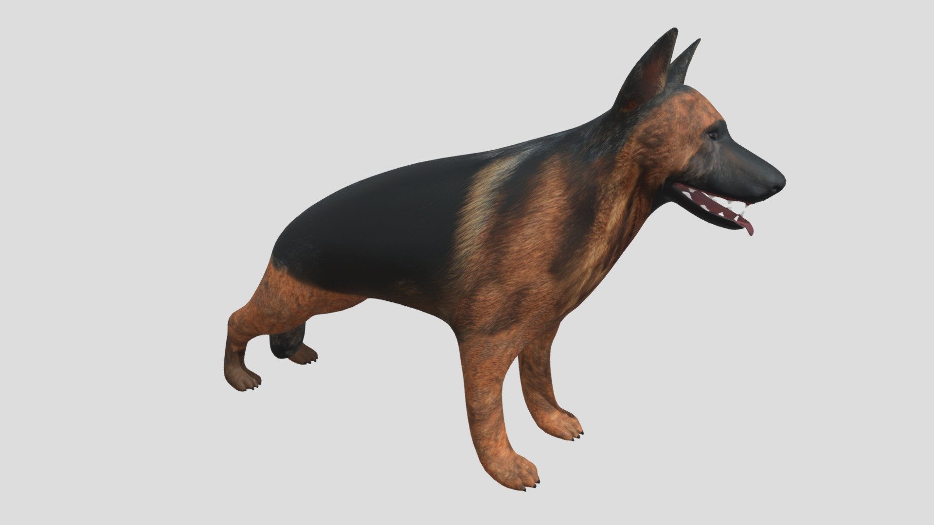 German Shepherd | Fab
