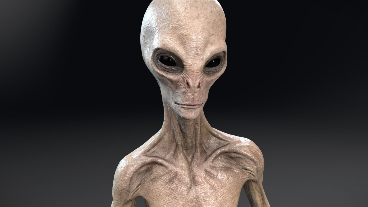 Media 1 for listing Grey Alien