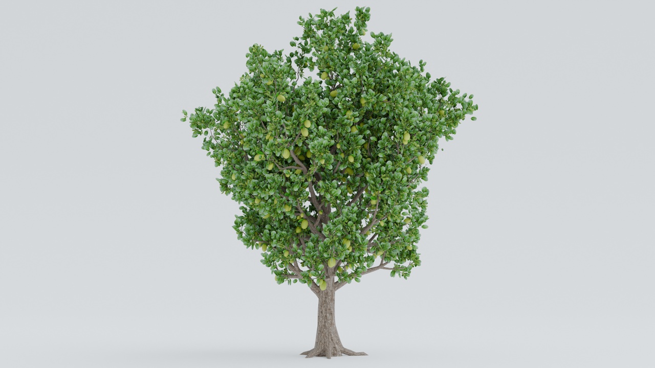 Media 1 for listing Realistic Jackfruit Tree 3D Model | Artocarpus Heterophyllus