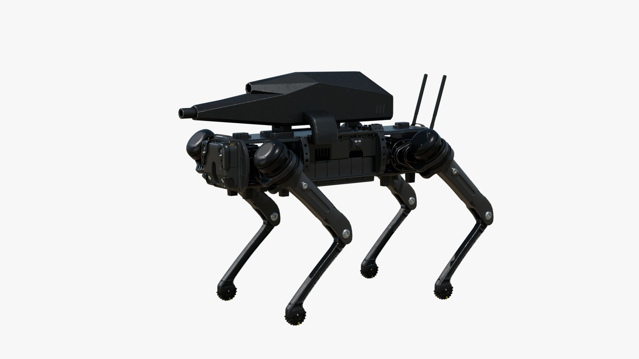 Media 1 for listing Robot Dog With Gun