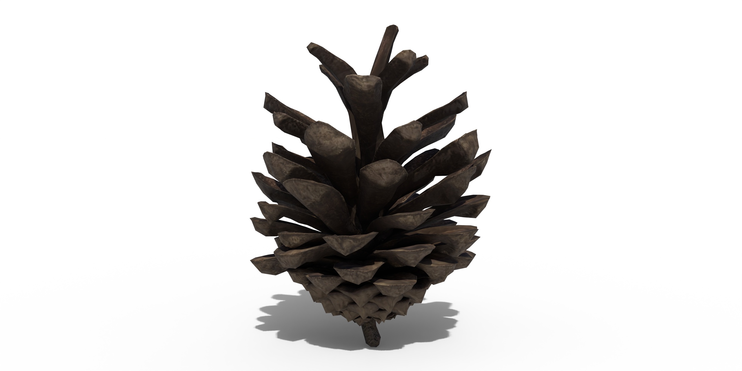 Media 1 for listing Pine Cone