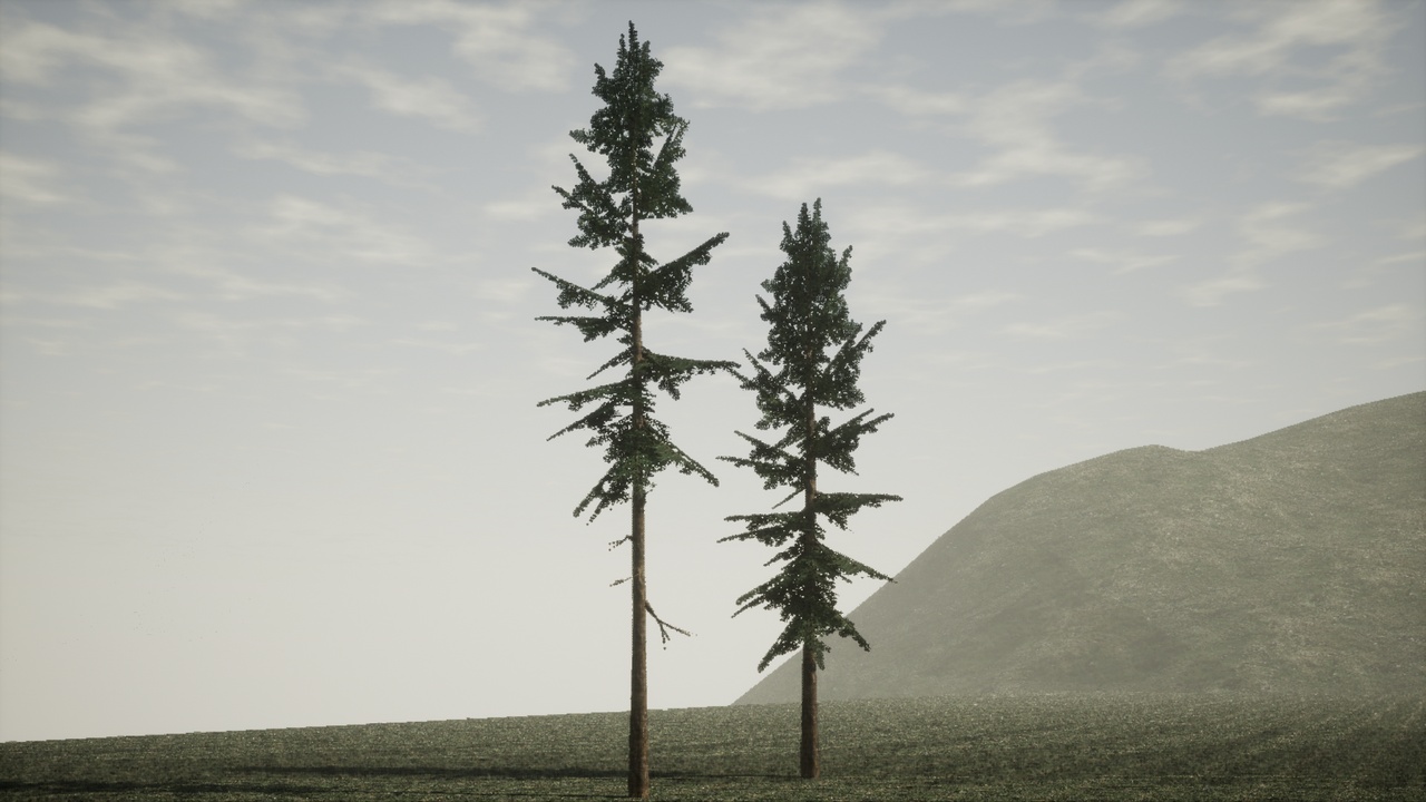 Media 1 for listing PSX - Dark Forest Trees