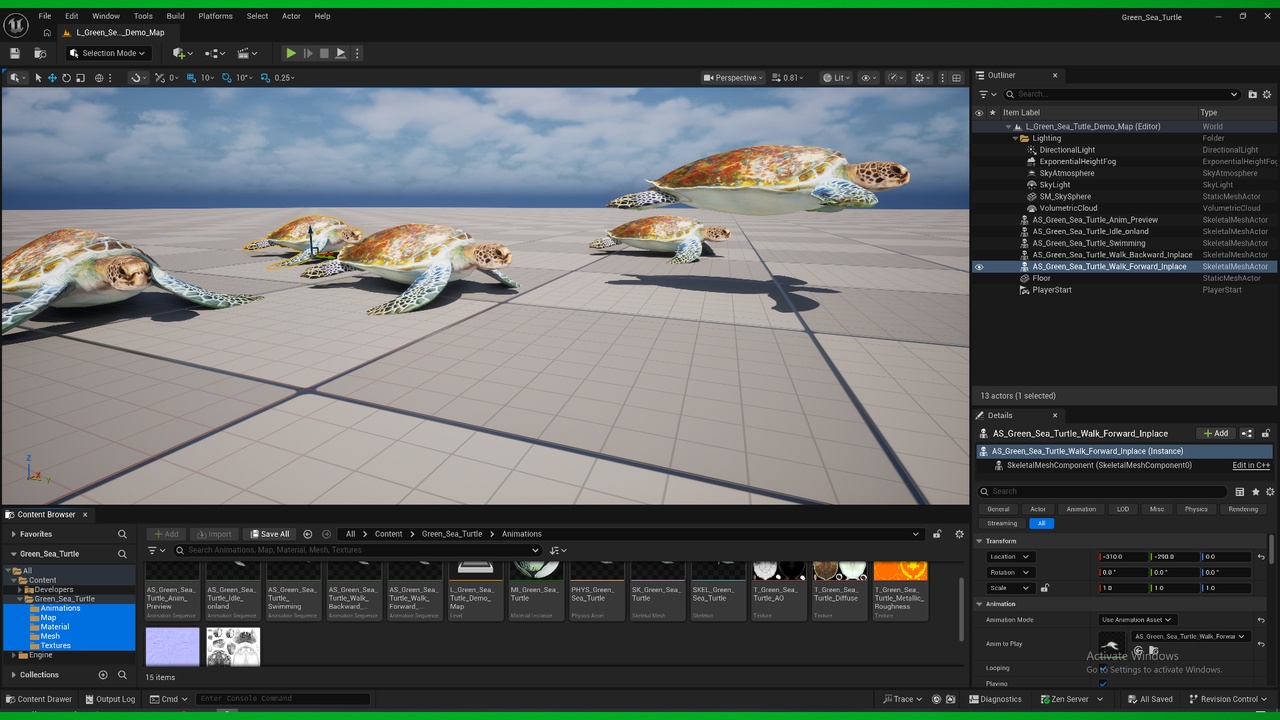 Media 1 for listing Green Sea Turtle