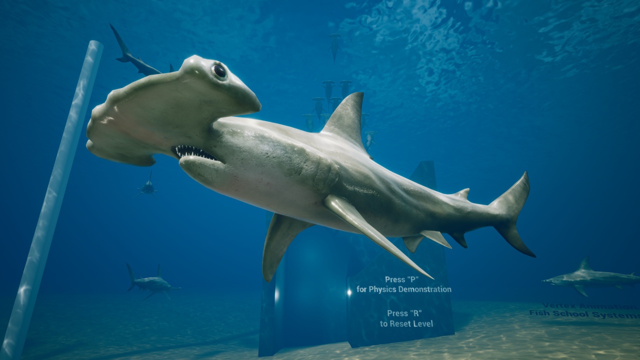 Media 1 for listing Hammerhead Shark with Spline System
